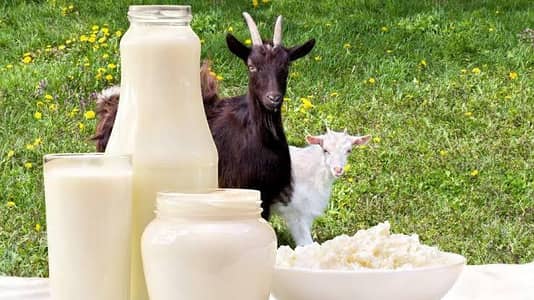 goat milk bakri doodh