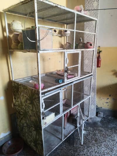 cage for parrots