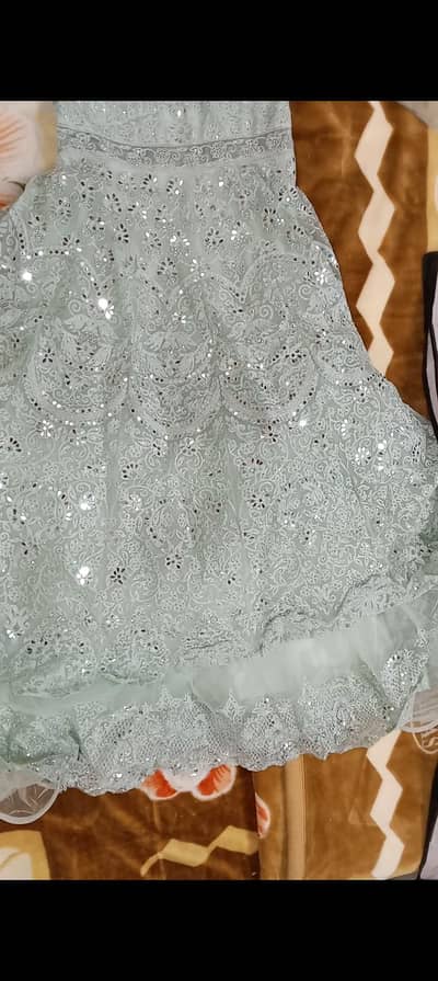 pista colour heavy maqci and golden colour