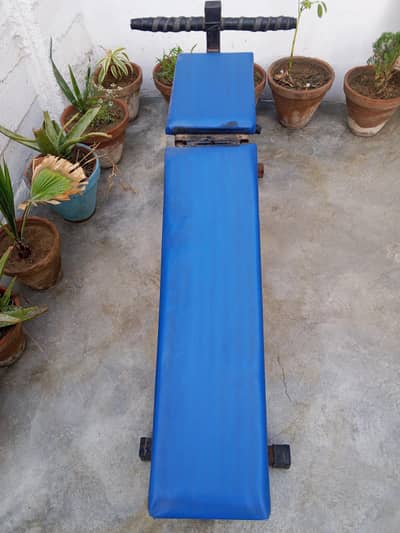 Adjustable Abdominical bench