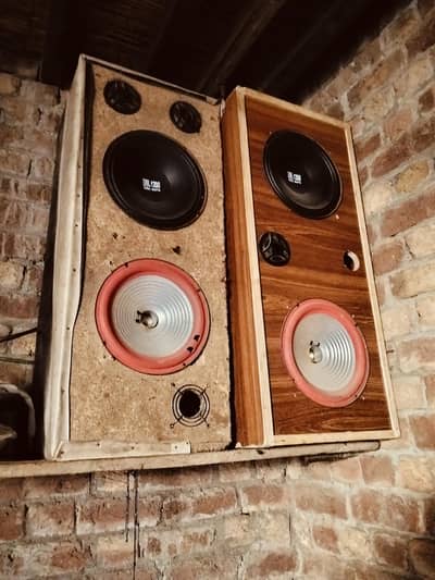 Fillo china speaker Boofer