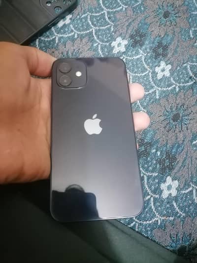 I phone 12