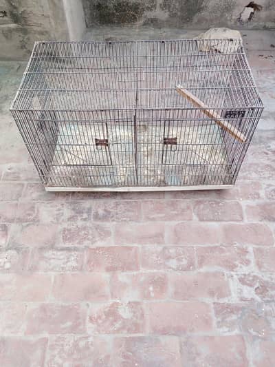 birds cages