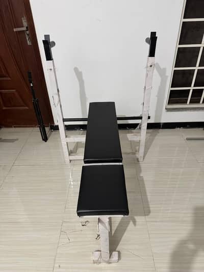 Gym Bench Press with Leg Curls