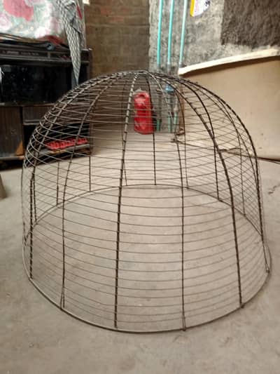 Used Hen Iron Cage