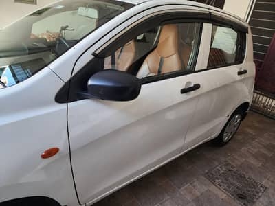 culture for for sale