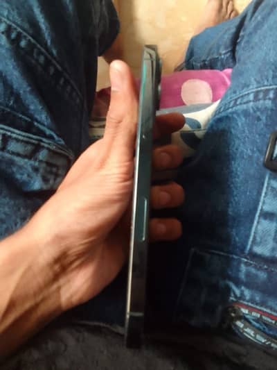 12 pro max urjunt sell