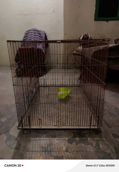 Cage for hen and birds