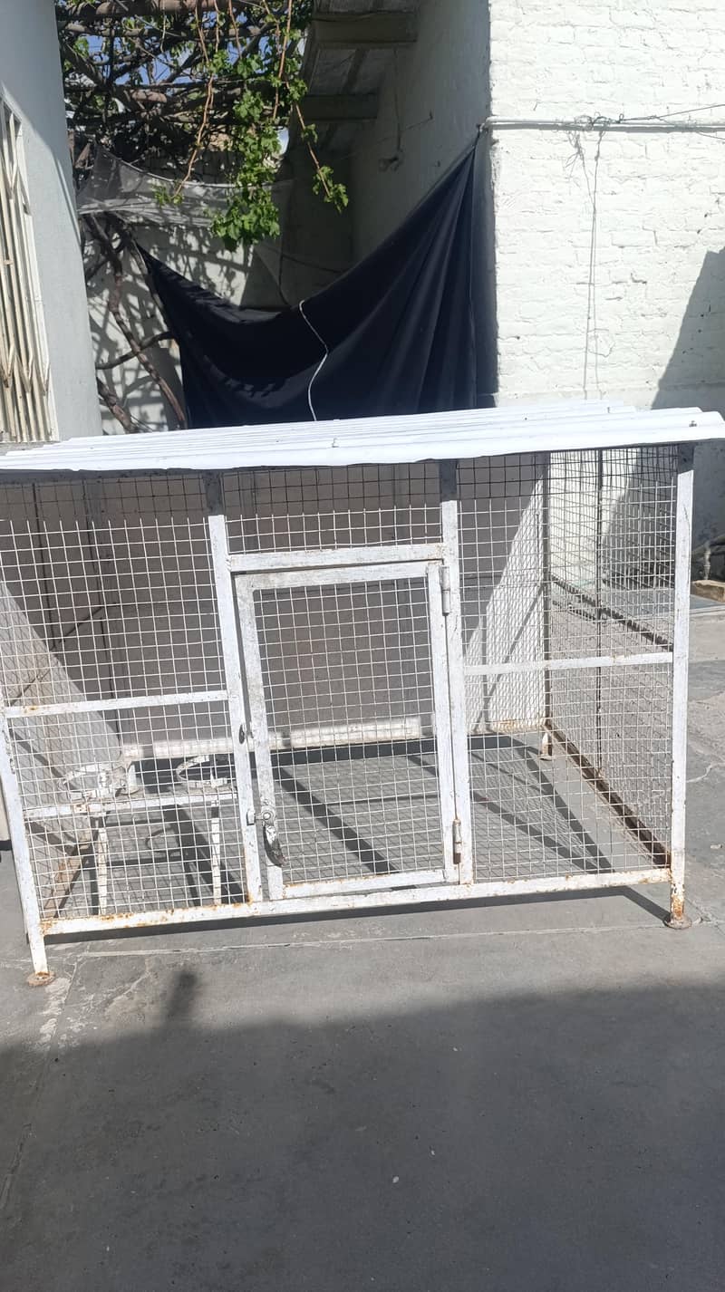 مرغیوں کا پنجرہ 1