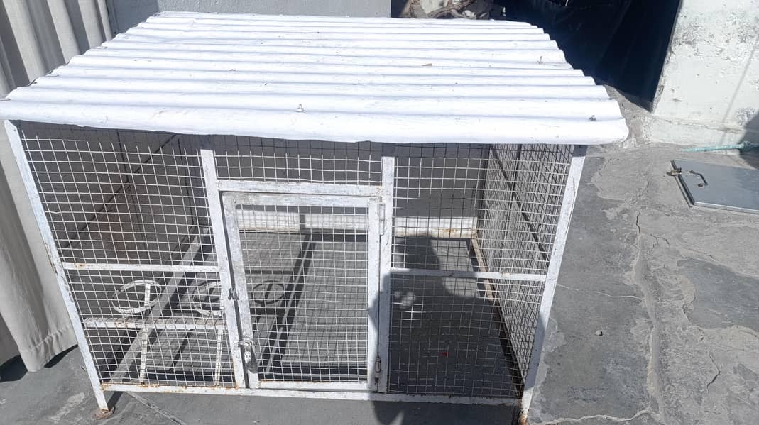 مرغیوں کا پنجرہ 2