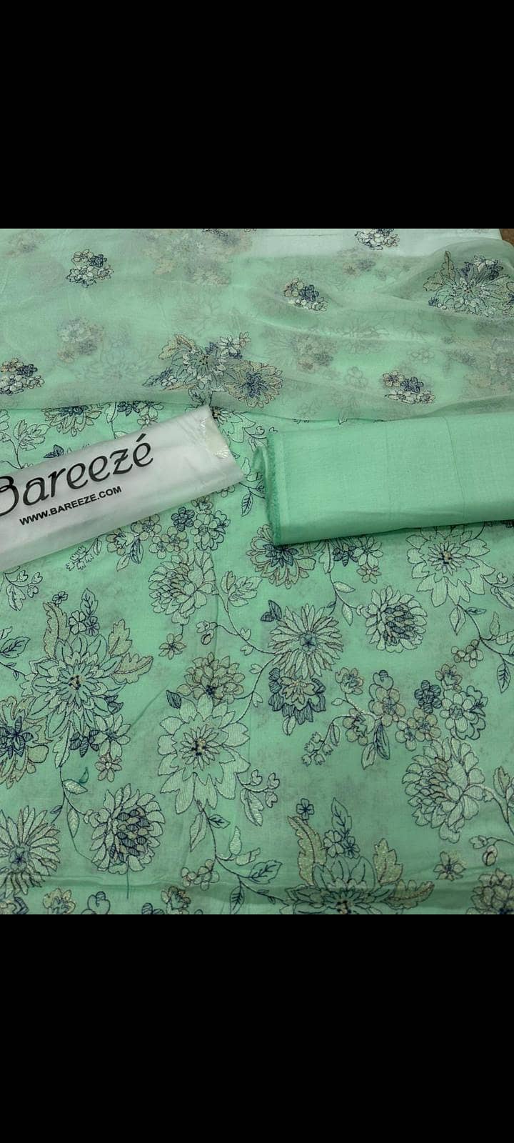bareeza 1
