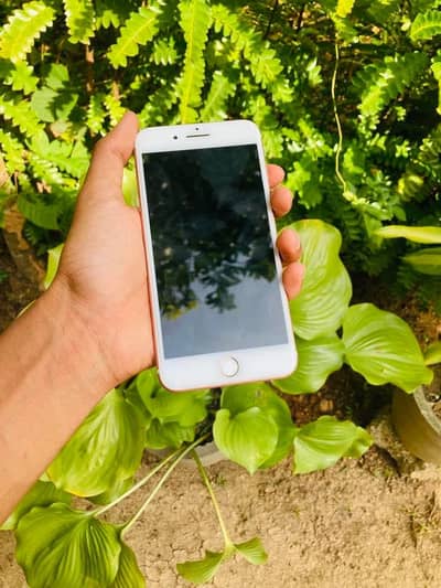 Iphone 7puls 128 GB my WhatsApp number 0370-36-59-905