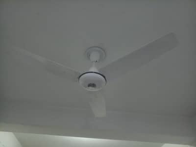 3 ceiling fans hn pak fan k each fan 8000 purchase kia tha