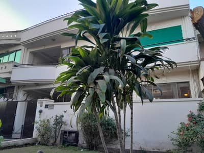 G-11/3 Wide St#109 Size 30/70 Ground Portion 2/Bed Tiled Floor TOLET