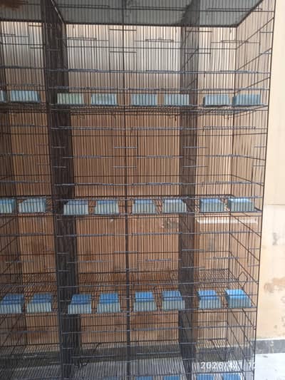 Cages For Sale