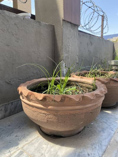 Clay & cement garden pots