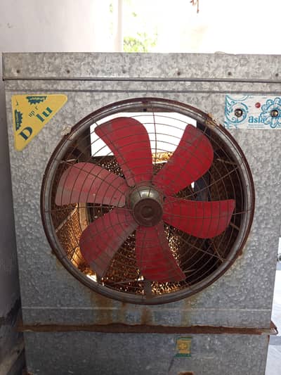 Air cooler with special side closures