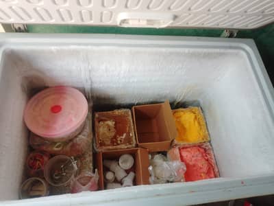 haire deep freezer urgent cell