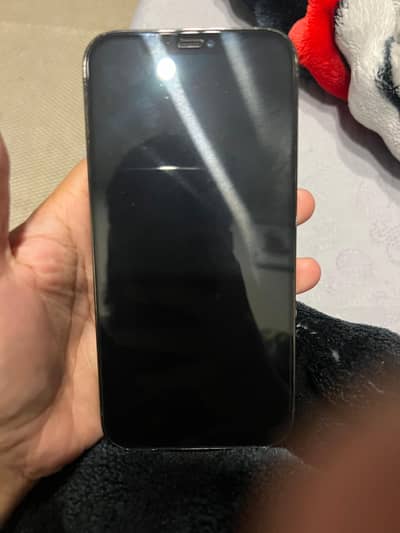 Iphone 12 pro max 256 gb pta approved