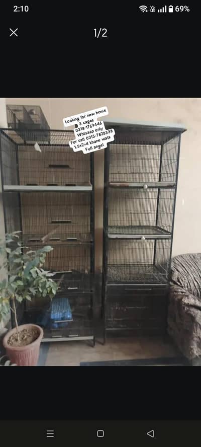 love bird and big bird cage for sale