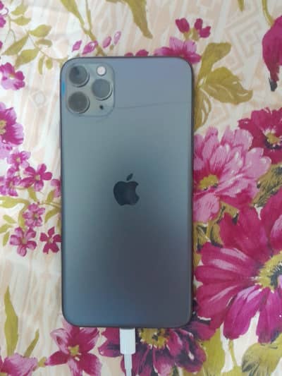 11 pro max sim working