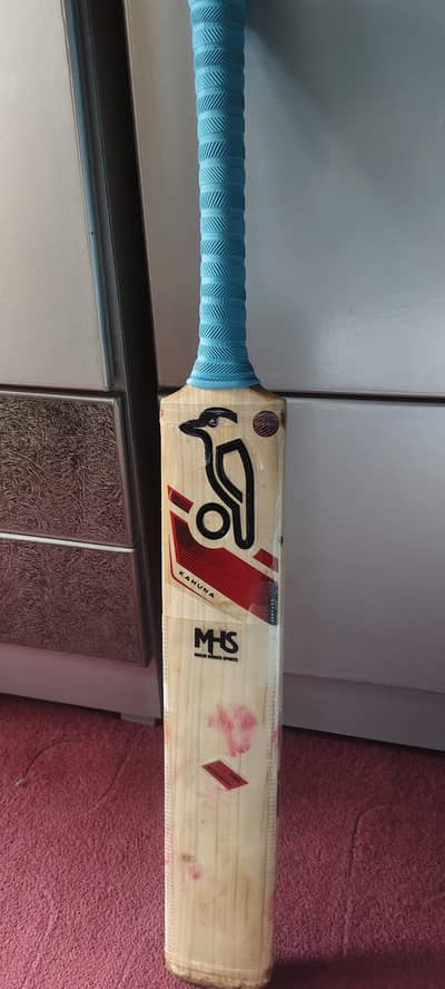 Cricket Hard Ball Bat