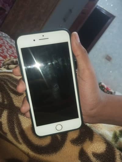 Ph:03410533277 only whatsapp exchange possible