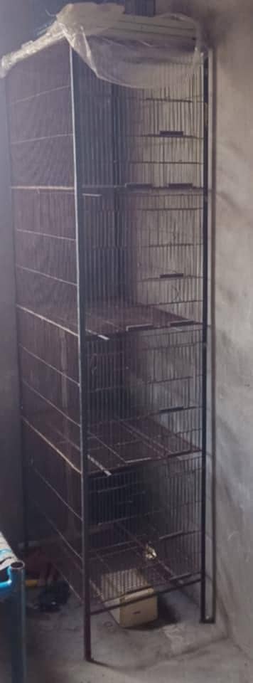 my Cage for sale urgent