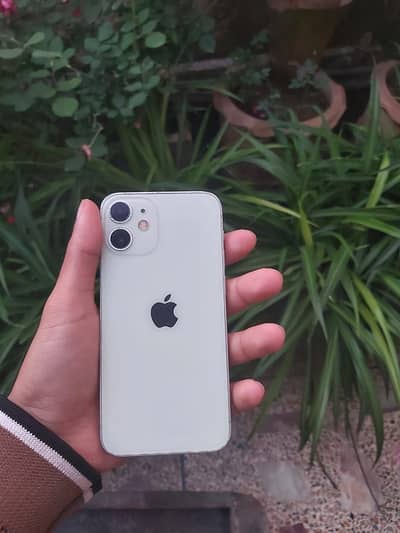 Iphone 12 mini exchange possible