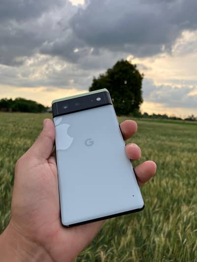 Google pixel 6 10/10 waterpack