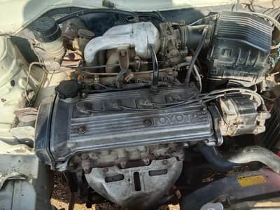 03055014644 andr sa total jeniean baher sa 70 persent jeniean