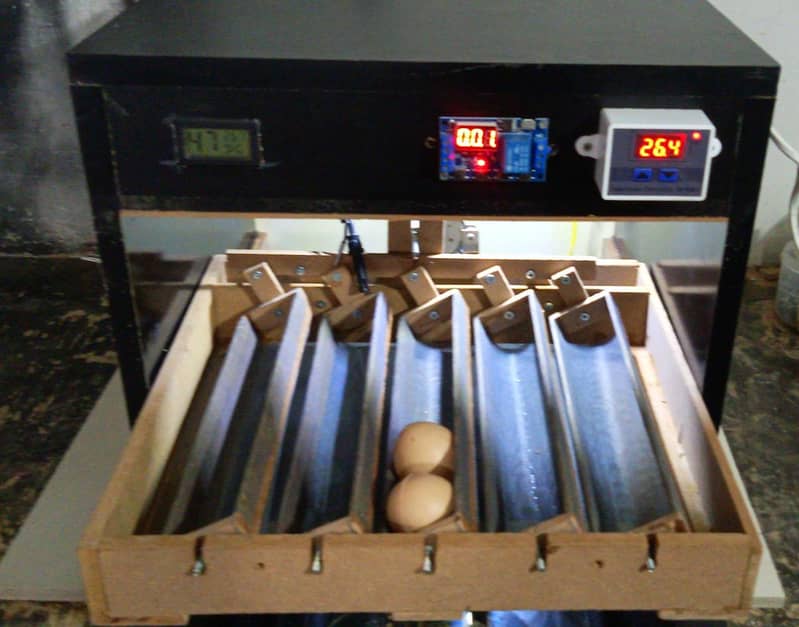 Automatic Incubator 2