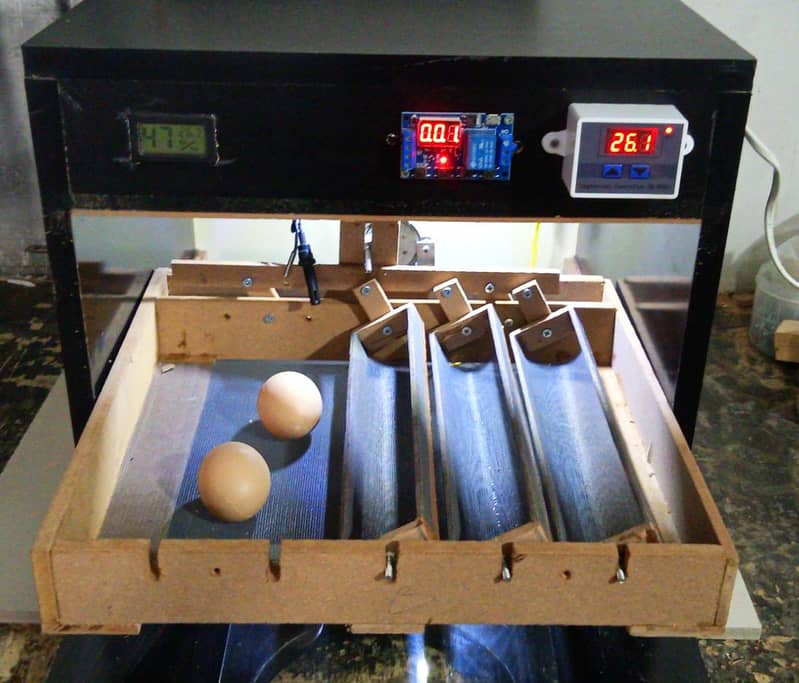 Automatic Incubator 4