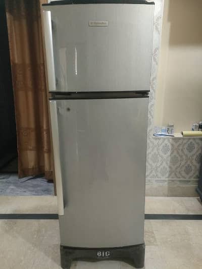 Fridge In Fresh Look