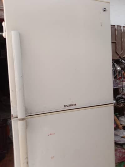 pel frig for sale large saiz