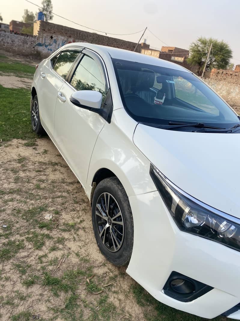 2017  03434974437 11