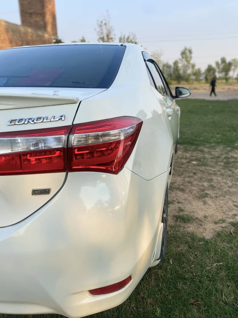 2017  03434974437 13