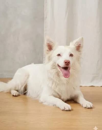 Russian female 8 months vaccinated 03482801708