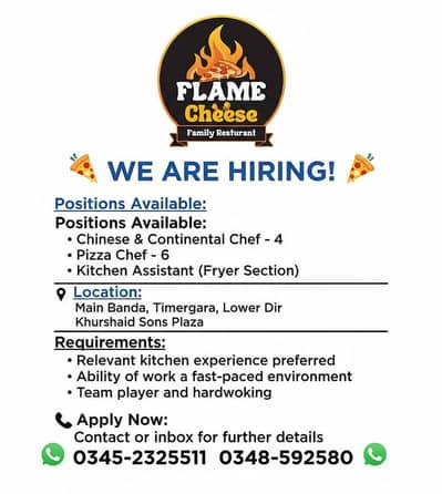 Chinese & Continental Chef || Pizza Helper , Pizza Chef (Jobs)
