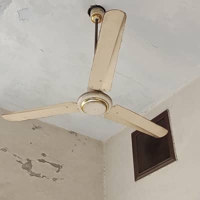 Ceiling Fan