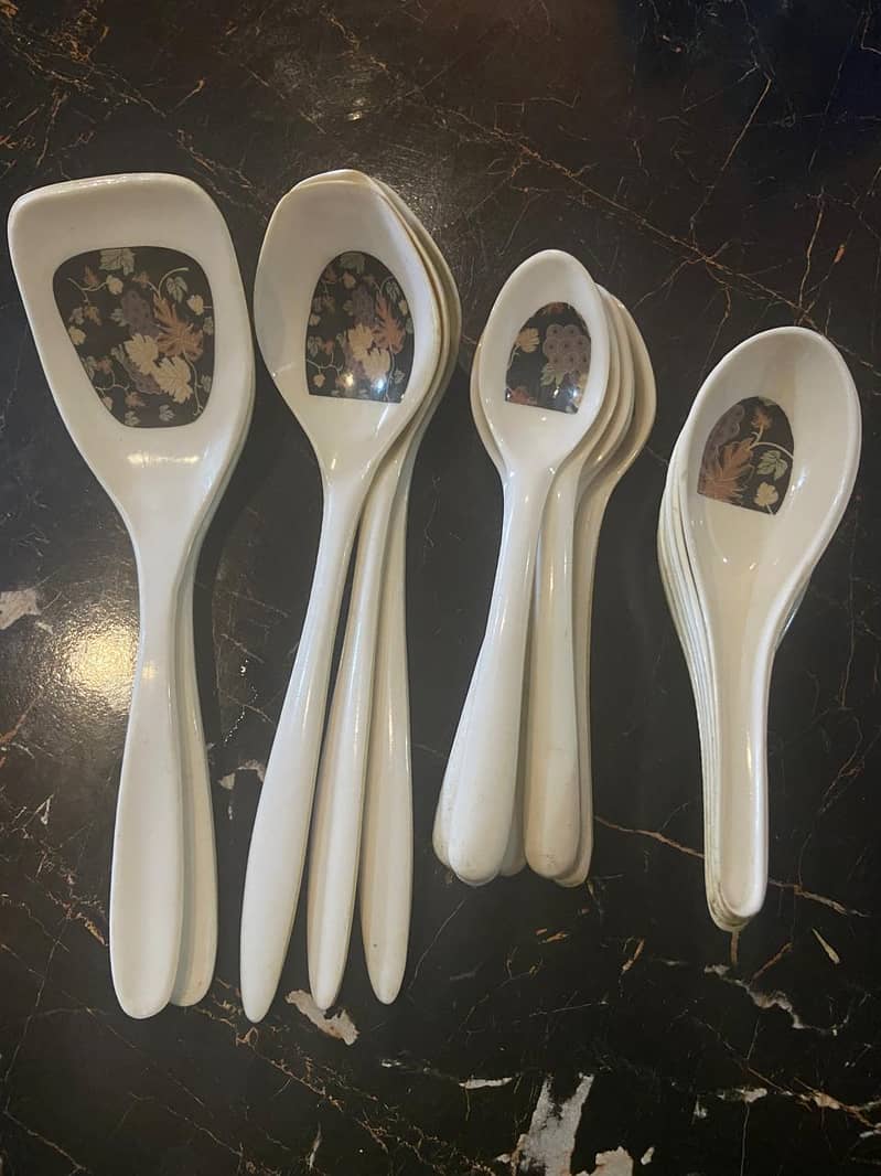 plastic dinner set 2