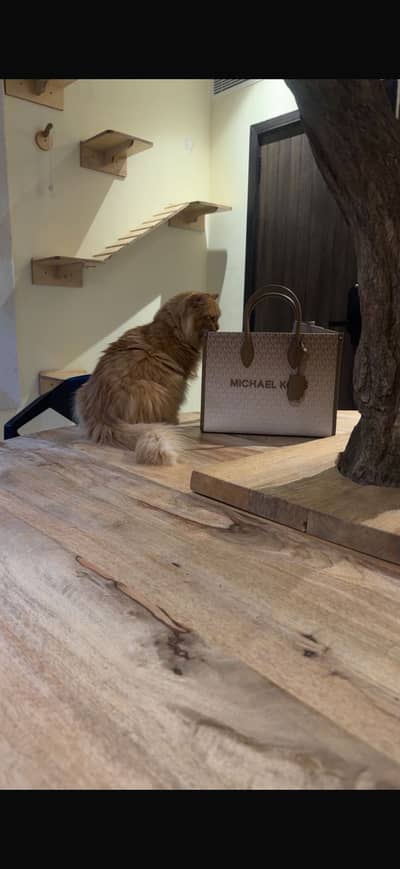 MICHAEL KORS TOTE BAG