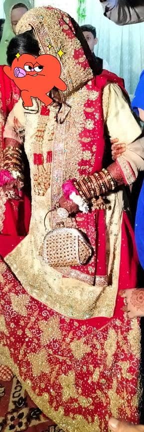Bridal sharara