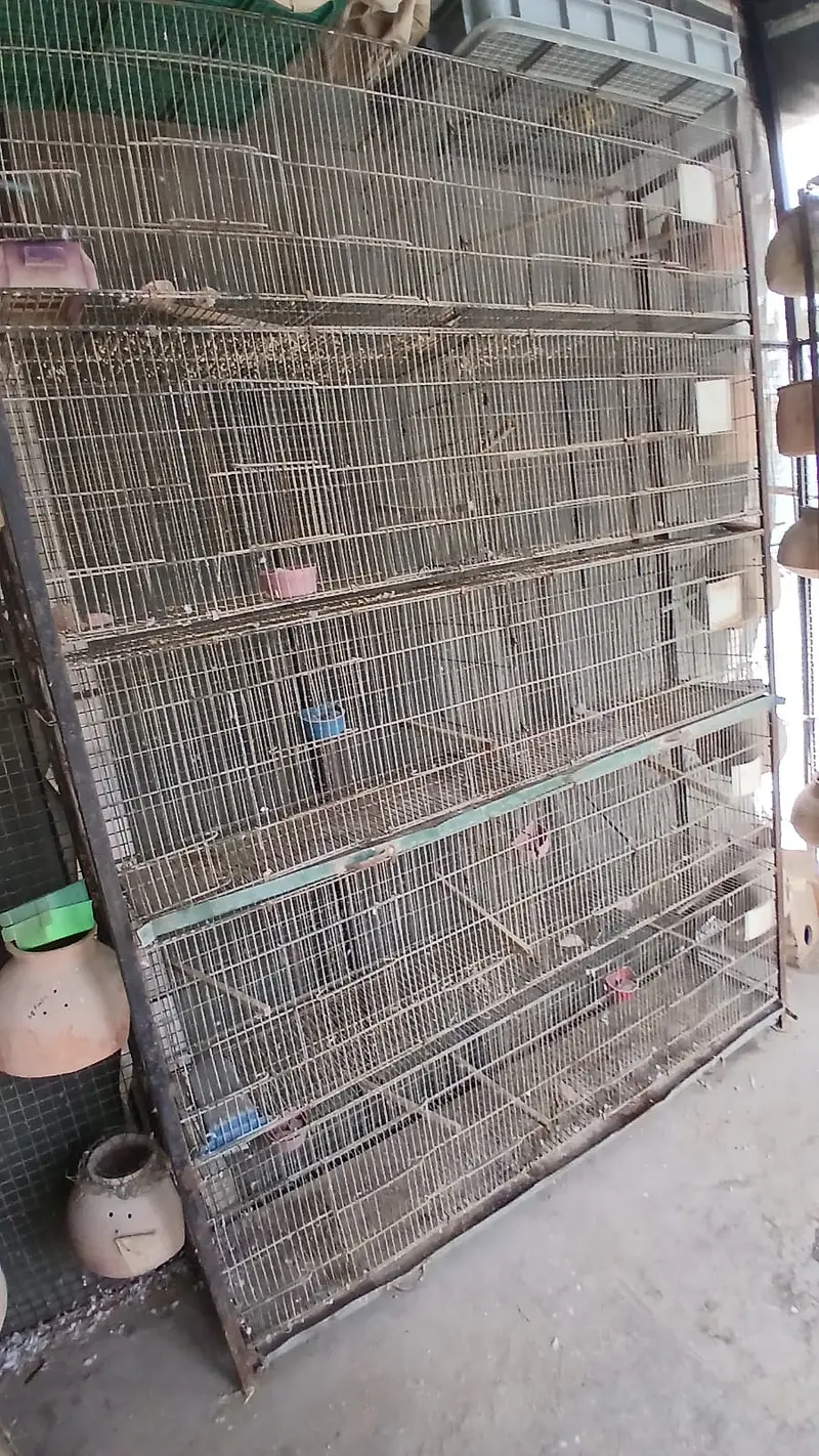 jahangir made heavy 10 portion cages with trays — photo 2