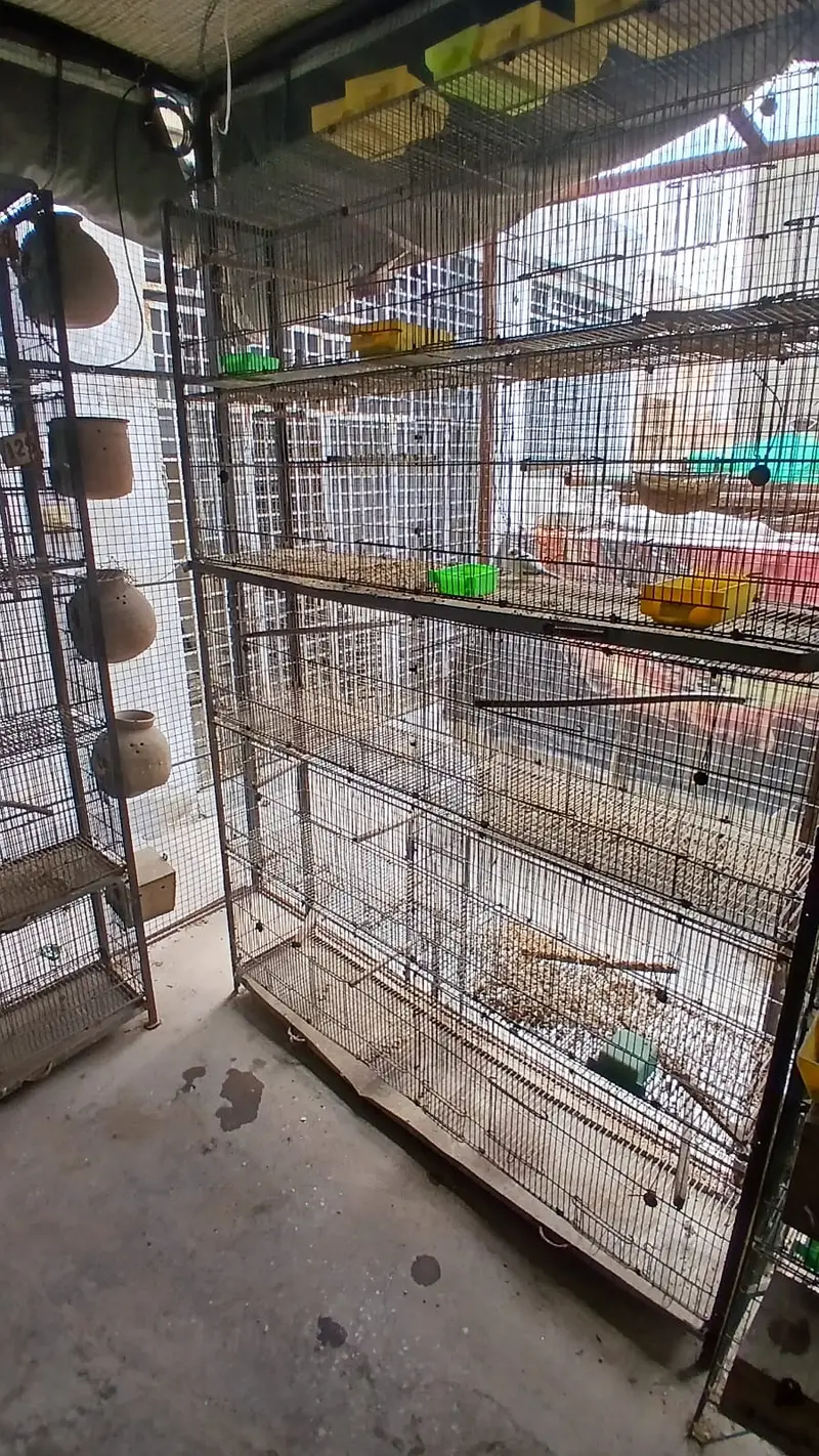 jahangir made heavy 10 portion cages with trays — photo 3