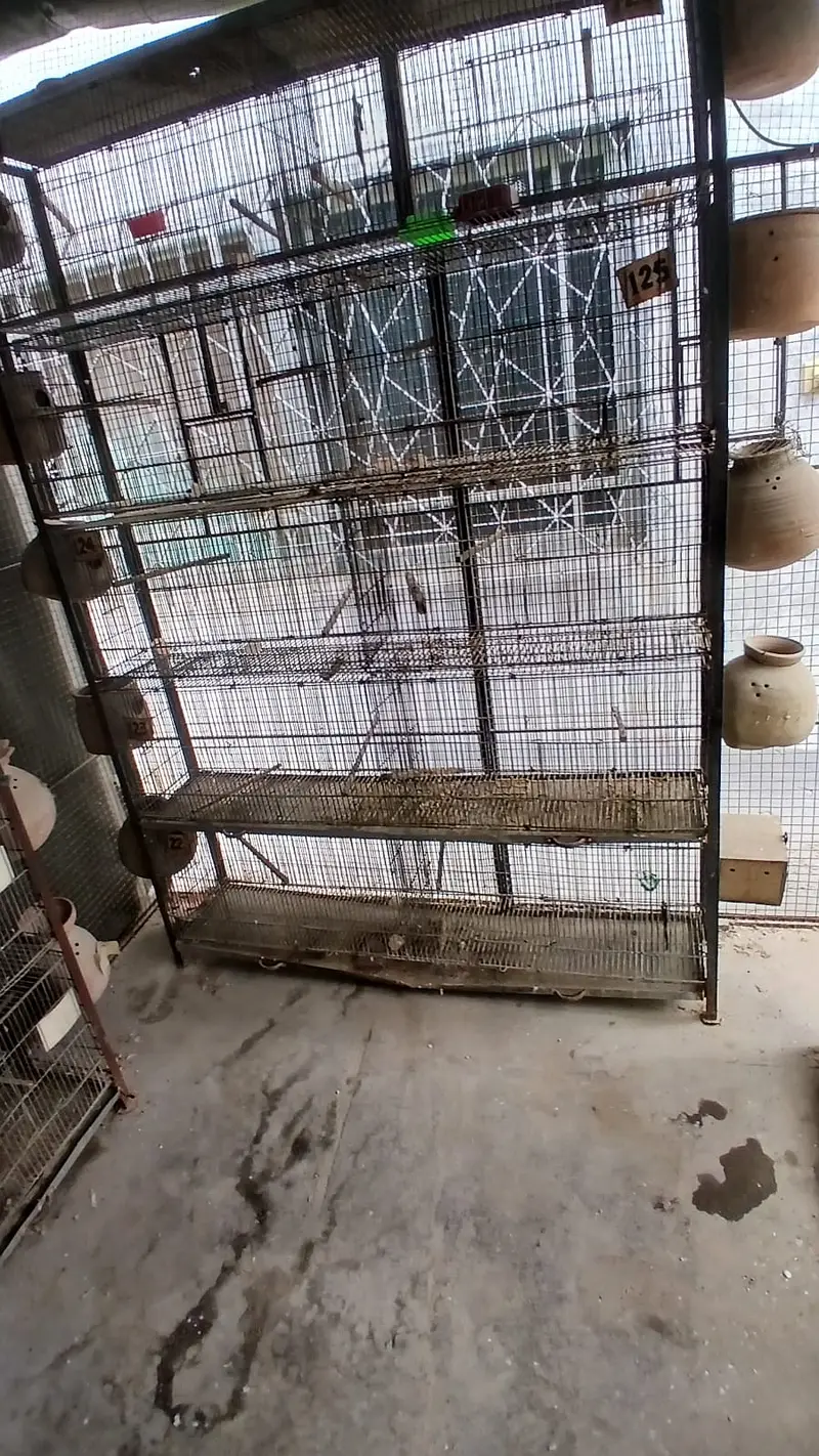 jahangir made heavy 10 portion cages with trays — photo 4