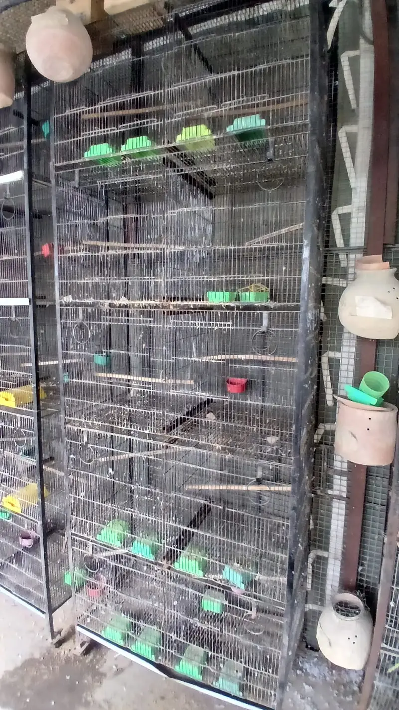 jahangir made heavy 10 portion cages with trays — photo 5