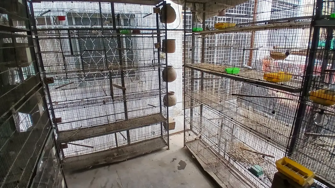 jahangir made heavy 10 portion cages with trays — photo 6