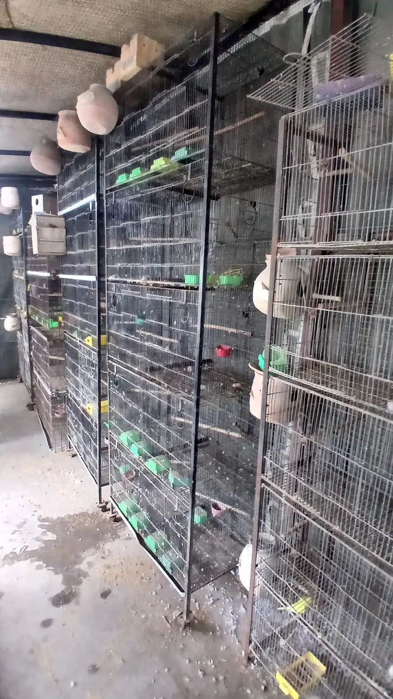 jahangir made heavy 10 portion cages with trays — photo 7