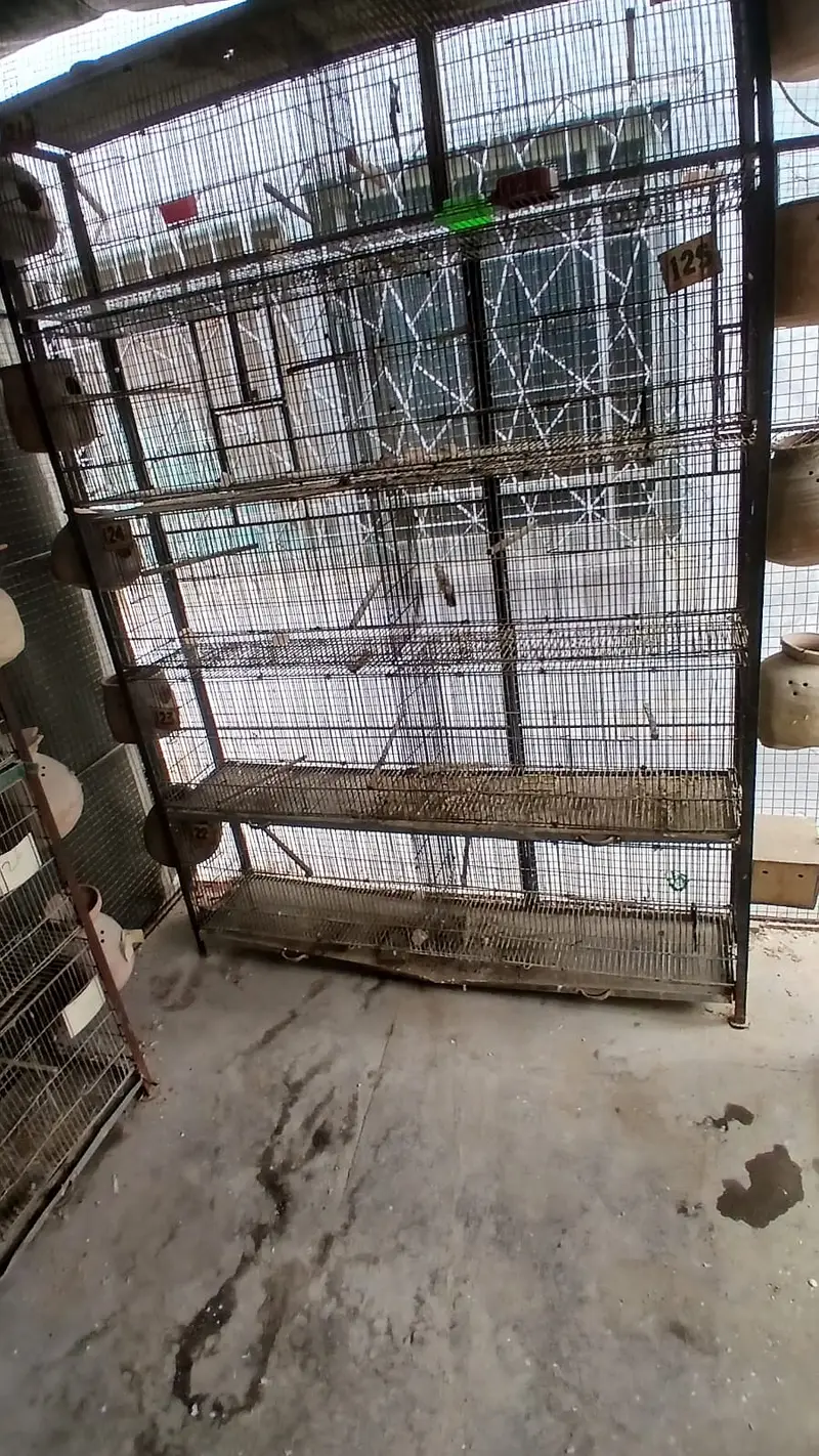 jahangir made heavy 10 portion cages with trays — photo 8